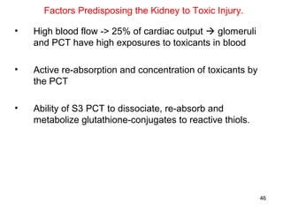 Factors Predisposing the Kidney to Toxic Injury.

•   High blood flow -> 25% of cardiac output  glomeruli
    and PCT have high exposures to toxicants in blood

•   Active re-absorption and concentration of toxicants by
    the PCT

•   Ability of S3 PCT to dissociate, re-absorb and
    metabolize glutathione-conjugates to reactive thiols.




                                                             46
 