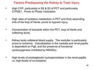 Factors Predisposing the Kidney to Toxic Injury.
•   High CYP, particularly in S2 & S3 of PCT and particularly
    CYP2E1. Prone to Phase I toxication.

•   High rates of oxidative metabolism in PCT and thick ascending
    limb of the loop of Henle: prone to hypoxic injury.

•   Concentration of toxicants within the PCT, loop of Henle and
    collecting ducts.

•   Kidney lacks collateral blood supply. The medullar is particularly
    prone to ischemia. Vasodilatation in the medulla and renal papilla
    is dependent on PgE2 and the presence of functional
    cyclooxygenase (inhibited by NSAIDs).

•   High levels of prostaglandin hydroperoxidase in the renal papilla
    i.e. high levels of co-oxidation.
                                                                        49
 