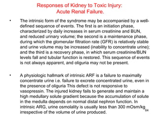 Responses of Kidney to Toxic Injury:
                    Acute Renal Failure.
•   The intrinsic form of the syndrome may be accompanied by a well-
    defined sequence of events. The first is an initiation phase,
    characterized by daily increases in serum creatinine and BUN,
    and reduced urinary volume; the second is a maintenance phase,
    during which the glomerular filtration rate (GFR) is relatively stable
    and urine volume may be increased (inability to concentrate urine);
    and the third is a recovery phase, in which serum creatinine/BUN
    levels fall and tubular function is restored. This sequence of events
    is not always apparent, and oliguria may not be present.

•   A physiologic hallmark of intrinsic ARF is a failure to maximally
    concentrate urine i.e. failure to excrete concentrated urine, even in
    the presence of oliguria This defect is not responsive to
    vasopressin. The injured kidney fails to generate and maintain a
    high medullary solute gradient because the accumulation of solute
    in the medulla depends on normal distal nephron function. In
    intrinsic ARG, urine osmolality is usually less than 300 mOsm/kg
                                                                       64
    irrespective of the volume of urine produced.
 