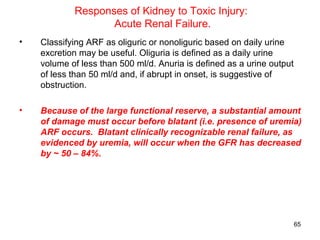Responses of Kidney to Toxic Injury:
                   Acute Renal Failure.
•   Classifying ARF as oliguric or nonoliguric based on daily urine
    excretion may be useful. Oliguria is defined as a daily urine
    volume of less than 500 ml/d. Anuria is defined as a urine output
    of less than 50 ml/d and, if abrupt in onset, is suggestive of
    obstruction.

•   Because of the large functional reserve, a substantial amount
    of damage must occur before blatant (i.e. presence of uremia)
    ARF occurs. Blatant clinically recognizable renal failure, as
    evidenced by uremia, will occur when the GFR has decreased
    by ~ 50 – 84%.




                                                                        65
 