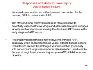 Responses of Kidney to Toxic Injury:
                   Acute Renal Failure.
•   Intrarenal vasoconstriction is the dominant mechanism for the
    reduced GFR in patients with ARF.

•   The stressed renal microvasculature is more sensitive to
    potentially vasoconstrictive drugs and otherwise-tolerated changes
    in systemic blood pressure making the decline in GFR seen in the
    early stages of ARF worse.

•   Prolonged vasoconstriction may evolve into intrinsic ARF,
    especially when concomitant large vessel arterial disease occurs.
    Renal failure caused by prolonged vasoconstriction (especially
    with concomitant large vessel arterial disease) often is induced by
    the use of angiotensin-converting enzyme (ACE) inhibitors and/or
    diuretics.


                                                                     66
 
