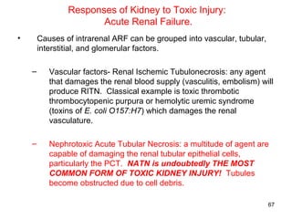 Responses of Kidney to Toxic Injury:
                       Acute Renal Failure.
•       Causes of intrarenal ARF can be grouped into vascular, tubular,
        interstitial, and glomerular factors.

    –      Vascular factors- Renal Ischemic Tubulonecrosis: any agent
           that damages the renal blood supply (vasculitis, embolism) will
           produce RITN. Classical example is toxic thrombotic
           thrombocytopenic purpura or hemolytic uremic syndrome
           (toxins of E. coli O157:H7) which damages the renal
           vasculature.

    –      Nephrotoxic Acute Tubular Necrosis: a multitude of agent are
           capable of damaging the renal tubular epithelial cells,
           particularly the PCT. NATN is undoubtedly THE MOST
           COMMON FORM OF TOXIC KIDNEY INJURY! Tubules
           become obstructed due to cell debris.

                                                                          67
 