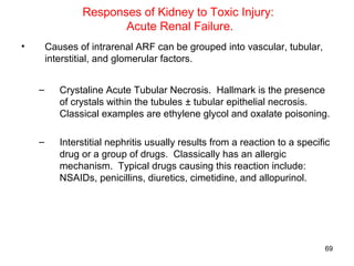 Responses of Kidney to Toxic Injury:
                       Acute Renal Failure.
•       Causes of intrarenal ARF can be grouped into vascular, tubular,
        interstitial, and glomerular factors.


    –      Crystaline Acute Tubular Necrosis. Hallmark is the presence
           of crystals within the tubules ± tubular epithelial necrosis.
           Classical examples are ethylene glycol and oxalate poisoning.

    –      Interstitial nephritis usually results from a reaction to a specific
           drug or a group of drugs. Classically has an allergic
           mechanism. Typical drugs causing this reaction include:
           NSAIDs, penicillins, diuretics, cimetidine, and allopurinol.




                                                                             69
 