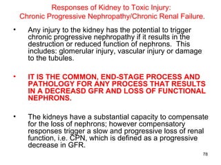 Responses of Kidney to Toxic Injury:
    Chronic Progressive Nephropathy/Chronic Renal Failure.
•     Any injury to the kidney has the potential to trigger
      chronic progressive nephropathy if it results in the
      destruction or reduced function of nephrons. This
      includes: glomerular injury, vascular injury or damage
      to the tubules.

•     IT IS THE COMMON, END-STAGE PROCESS AND
      PATHOLOGY FOR ANY PROCESS THAT RESULTS
      IN A DECREASD GFR AND LOSS OF FUNCTIONAL
      NEPHRONS.

•     The kidneys have a substantial capacity to compensate
      for the loss of nephrons; however compensatory
      responses trigger a slow and progressive loss of renal
      function, i.e. CPN, which is defined as a progressive
      decrease in GFR.
                                                               78
 