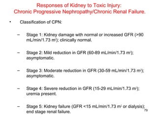 Responses of Kidney to Toxic Injury:
    Chronic Progressive Nephropathy/Chronic Renal Failure.
•        Classification of CPN:

     –      Stage 1: Kidney damage with normal or increased GFR (>90
            mL/min/1.73 m2); clinically normal.

     –      Stage 2: Mild reduction in GFR (60-89 mL/min/1.73 m2);
            asymptomatic.

     –      Stage 3: Moderate reduction in GFR (30-59 mL/min/1.73 m2);
            asymptomatic.

     –      Stage 4: Severe reduction in GFR (15-29 mL/min/1.73 m2);
            uremia present.

     –      Stage 5: Kidney failure (GFR <15 mL/min/1.73 m2 or dialysis);
                                                                        79
            end stage renal failure.
 