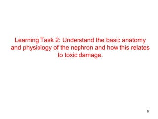 Learning Task 2: Understand the basic anatomy
and physiology of the nephron and how this relates
                to toxic damage.




                                                 9
 