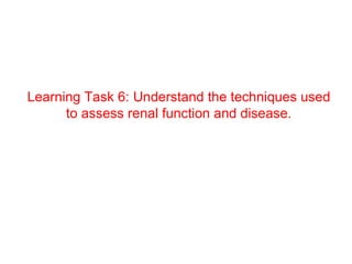 Learning Task 6: Understand the techniques used
      to assess renal function and disease.
 