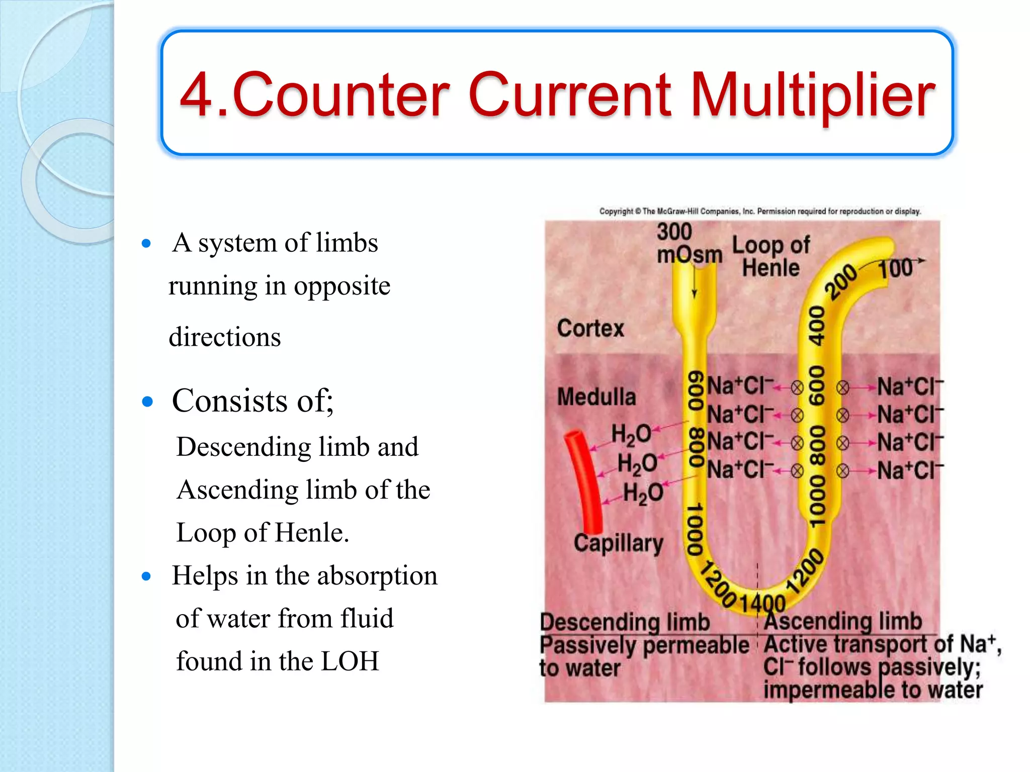 Renal physiology-1 | PPTX