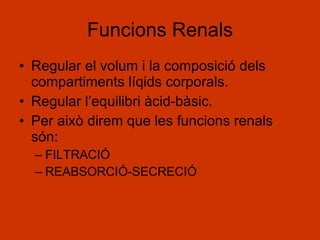 Funcions Renals Regular el volum i la composició dels compartiments líqids corporals. Regular l’equilibri àcid-bàsic. Per això direm que les funcions renals són: FILTRACIÓ REABSORCIÓ-SECRECIÓ 