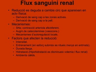 Flux sanguini renal Reducció es deguda a cambis circ que apareixen en actv física: Derivació de sang cap a les zones actives. Derivació de sang cap a la pell. Mecanismes:  SNs; contracció arteriola afe/eferent. Augm.de catecolamines (vasocons.) Mecanismes d’autoregulació locals. Factors que afecten la reducció: Intensitat. Entrenament (en esforç submàx es rdueix menys en entrnats). Durada llarga. Hidratació.(Hipohidratació es disminueix volemia i flux renal) Ambients càlids. 