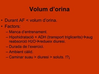 Volum d’orina Durant AF < volum d’orina. Factors: Manca d’entrenament. Hipohidratació + ADH (transport triglicerits)  aug reabsorció H 2 O  redueix diuresi. Durada de l’exercici. Ambient càlid. Caminar suau > diuresi > soluts. !?¡ 