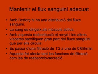 Mantenir el flux sanguini adecuat Amb l’esforç hi ha una distribució del fluxe sanguini. La sang es dirigeix als músculs actius. Amb aquesta redistribució el ronyò i les altres vísceres sacrifiquen gran part del fluxe sanguini que per ells circula. Es passa d’una filtració de 1’2 a una de 0’6lit/min. Aquesta fet afecta tant les funcions de filtració com les de reabsorció-secreció 
