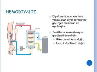 HEMODİYALİZ
 Diyalizer içinde kan ters
yönde akan diyalizattan yarı-
geçirgen membran ile
ayrılmıştır.
 Solütlerin konsantrasyon
gradienti önemlidir:
 Bikarbonat kana doğru
 Üre, K diyalizata doğru
 