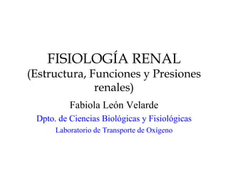 FISIOLOGÍA RENAL (Estructura, Funciones y Presiones renales) Fabiola León Velarde Dpto. de Ciencias Biológicas y Fisiológicas Laboratorio de Transporte de Oxígeno 