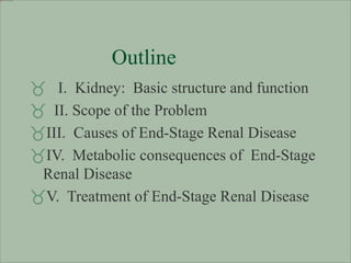 renal end stage kidney disease for patient | PPT