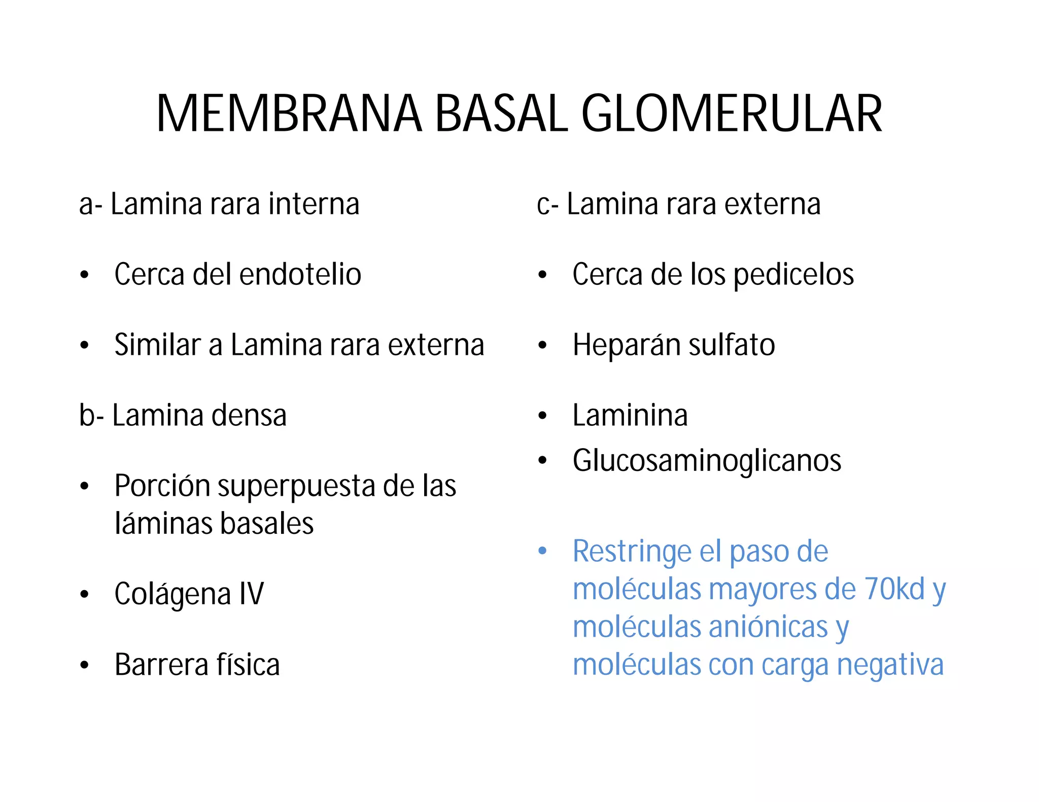MEMBRANA BASAL GLOMERULAR
a- Lamina rara interna

c- Lamina rara externa

• Cerca del endotelio

• Cerca de los pedicelos

• Similar a Lamina rara externa

• Heparán sulfato

b- Lamina densa

• Laminina
• Glucosaminoglicanos

• Porción superpuesta de las
láminas basales
• Colágena IV
• Barrera física

• Restringe el paso de
moléculas mayores de 70kd y
moléculas aniónicas y
moléculas con carga negativa

 