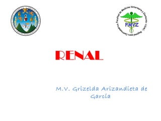 RENAL M.V. Grizelda Arizandieta de García . 