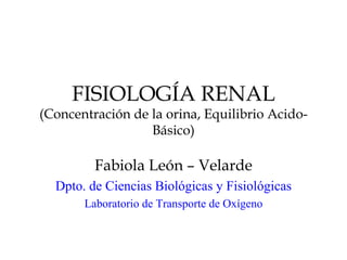 FISIOLOGÍA RENAL (Concentración de la orina, Equilibrio Acido-Básico) Fabiola León – Velarde Dpto. de Ciencias Biológicas y Fisiológicas Laboratorio de Transporte de Oxígeno 