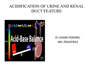 ACIDIFICATION OF URINE AND RENAL
DUCT FEATURE
Dr. SHAMI POKHREL
MD. PEDIATRICS
 