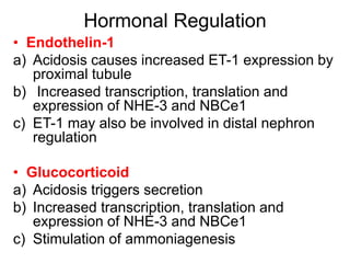 Hormonal Regulation
• Endothelin-1
a) Acidosis causes increased ET-1 expression by
proximal tubule
b) Increased transcription, translation and
expression of NHE-3 and NBCe1
c) ET-1 may also be involved in distal nephron
regulation
• Glucocorticoid
a) Acidosis triggers secretion
b) Increased transcription, translation and
expression of NHE-3 and NBCe1
c) Stimulation of ammoniagenesis
 