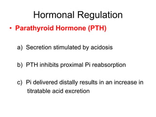 Hormonal Regulation
• Parathyroid Hormone (PTH)
a) Secretion stimulated by acidosis
b) PTH inhibits proximal Pi reabsorption
c) Pi delivered distally results in an increase in
titratable acid excretion
 