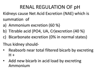 RENAL REGULATION OF pH
Kidneys cause Net Acid Excretion (NAE) which is
summation of
a) Ammonium excretion (60 %)
b) Titrable acid (PO4, UA, Cr)excretion (40 %)
c) Bicarbonate excretion (0% in normal states)
Thus kidney should-
• Reabsorb near total filtered bicarb by excreting
H +
• Add new bicarb in acid load by excreting
Ammonium
 
