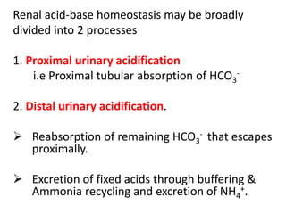 Renal acid-base homeostasis may be broadly
divided into 2 processes
1. Proximal urinary acidification
i.e Proximal tubular absorption of HCO3
-
2. Distal urinary acidification.
 Reabsorption of remaining HCO3
- that escapes
proximally.
 Excretion of fixed acids through buffering &
Ammonia recycling and excretion of NH4
+.
 