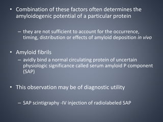 • Combination of these factors often determines the
amyloidogenic potential of a particular protein
– they are not sufficient to account for the occurrence,
timing, distribution or effects of amyloid deposition in vivo
• Amyloid fibrils
– avidly bind a normal circulating protein of uncertain
physiologic significance called serum amyloid P component
(SAP)
• This observation may be of diagnostic utility
– SAP scintigraphy -IV injection of radiolabeled SAP
 