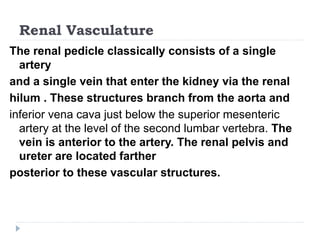 Renal Vasculature
The renal pedicle classically consists of a single
artery
and a single vein that enter the kidney via the renal
hilum . These structures branch from the aorta and
inferior vena cava just below the superior mesenteric
artery at the level of the second lumbar vertebra. The
vein is anterior to the artery. The renal pelvis and
ureter are located farther
posterior to these vascular structures.
 