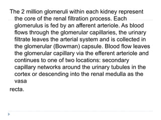 The 2 million glomeruli within each kidney represent
the core of the renal filtration process. Each
glomerulus is fed by an afferent arteriole. As blood
flows through the glomerular capillaries, the urinary
filtrate leaves the arterial system and is collected in
the glomerular (Bowman) capsule. Blood flow leaves
the glomerular capillary via the efferent arteriole and
continues to one of two locations: secondary
capillary networks around the urinary tubules in the
cortex or descending into the renal medulla as the
vasa
recta.
 