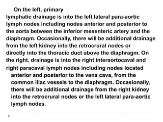 On the left, primary
lymphatic drainage is into the left lateral para-aortic
lymph nodes including nodes anterior and posterior to
the aorta between the inferior mesenteric artery and the
diaphragm. Occasionally, there will be additional drainage
from the left kidney into the retrocrural nodes or
directly into the thoracic duct above the diaphragm. On
the right, drainage is into the right interaortocaval and
right paracaval lymph nodes including nodes located
anterior and posterior to the vena cava, from the
common iliac vessels to the diaphragm. Occasionally,
there will be additional drainage from the right kidney
into the retrocrural nodes or the left lateral para-aortic
lymph nodes.
 