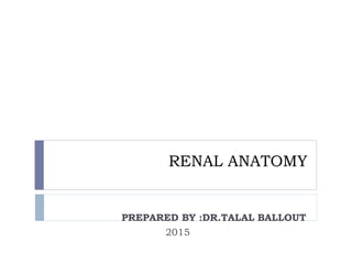 RENAL ANATOMY
PREPARED BY :DR.TALAL BALLOUT
2015
 