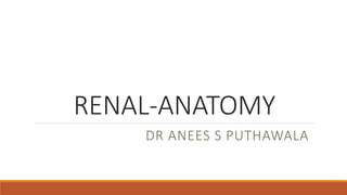 RENAL-ANATOMY
DR ANEES S PUTHAWALA
 