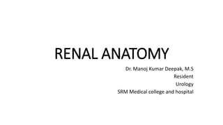 RENAL ANATOMY
Dr. Manoj Kumar Deepak, M.S
Resident
Urology
SRM Medical college and hospital
 