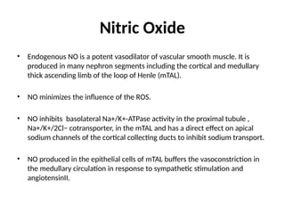 Renal anatomy and physiology and its anaesthetic implication | PPTX