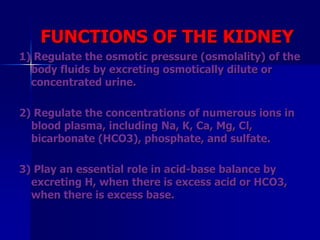 FUNCTIONS OF THE KIDNEY
1) Regulate the osmotic pressure (osmolality) of the
body fluids by excreting osmotically dilute or
concentrated urine.
2) Regulate the concentrations of numerous ions in
blood plasma, including Na, K, Ca, Mg, Cl,
bicarbonate (HCO3), phosphate, and sulfate.
3) Play an essential role in acid-base balance by
excreting H, when there is excess acid or HCO3,
when there is excess base.
 