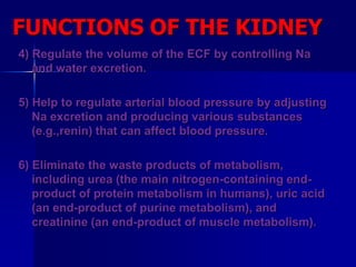 FUNCTIONS OF THE KIDNEY
4) Regulate the volume of the ECF by controlling Na
and water excretion.
5) Help to regulate arterial blood pressure by adjusting
Na excretion and producing various substances
(e.g.,renin) that can affect blood pressure.
6) Eliminate the waste products of metabolism,
including urea (the main nitrogen-containing end-
product of protein metabolism in humans), uric acid
(an end-product of purine metabolism), and
creatinine (an end-product of muscle metabolism).
 