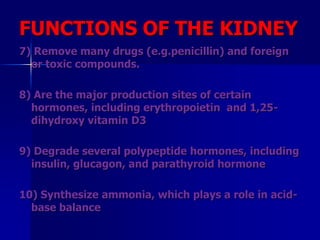 FUNCTIONS OF THE KIDNEY
7) Remove many drugs (e.g.penicillin) and foreign
or toxic compounds.
8) Are the major production sites of certain
hormones, including erythropoietin and 1,25-
dihydroxy vitamin D3
9) Degrade several polypeptide hormones, including
insulin, glucagon, and parathyroid hormone
10) Synthesize ammonia, which plays a role in acid-
base balance
 