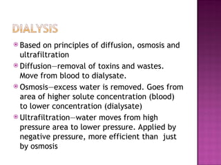 Urinary System Diffusion Renal and urinary system disorders (1).ppt