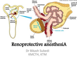 Renoprotective anesthesiA
Dr Bikash Subedi
KMCTH, KTM
 