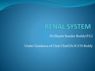 Dr.Shyam Sunder Reddy(P.G)
Under Guidance of Unit Chief:Dr.N.V.N Reddy
 