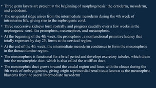 Comprehensive Overview of Congenital Renal Anomalies and Developmental ...