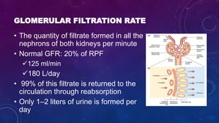 Renal biochemistry | PPTX
