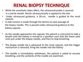 RENAL BIOPSY TECHNIQUE
• While the anesthetic takes effect, the ultrasound probe is covered
in a sterile sheath. Sterile ultrasound jelly is applied to the skin
• Under ultrasound guidance, a 10-cm, needle is guided to the renal
capsule.
• A stab incision is made through the dermis to ease passage of
the biopsy needle. This is passed under ultrasound guidance to the
kidney capsule .
• As the needle approaches the capsule, the patient is instructed to take a
breath until the kidney is moved to a position such that the lower pole
rests just under the biopsy needle, and then to stop breathing.
• The biopsy needle tip is advanced to the renal capsule, and the trigger
mechanism is released, firing the needle into the kidney .
• The needle is immediately withdrawn, the patient is asked to resume
breathing, and the contents of the needle are examined .
 