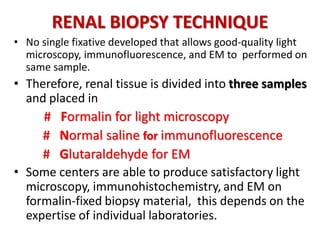 RENAL BIOPSY TECHNIQUE
• No single fixative developed that allows good-quality light
microscopy, immunofluorescence, and EM to performed on
same sample.
• Therefore, renal tissue is divided into three samples
and placed in
# Formalin for light microscopy
# Normal saline for immunofluorescence
# Glutaraldehyde for EM
• Some centers are able to produce satisfactory light
microscopy, immunohistochemistry, and EM on
formalin-fixed biopsy material, this depends on the
expertise of individual laboratories.
 