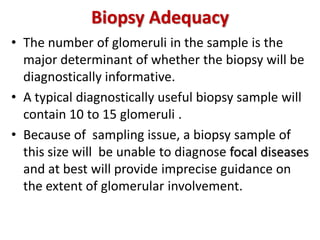 Biopsy Adequacy
• The number of glomeruli in the sample is the
major determinant of whether the biopsy will be
diagnostically informative.
• A typical diagnostically useful biopsy sample will
contain 10 to 15 glomeruli .
• Because of sampling issue, a biopsy sample of
this size will be unable to diagnose focal diseases
and at best will provide imprecise guidance on
the extent of glomerular involvement.
 