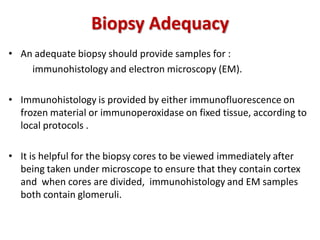 Biopsy Adequacy
• An adequate biopsy should provide samples for :
immunohistology and electron microscopy (EM).
• Immunohistology is provided by either immunofluorescence on
frozen material or immunoperoxidase on fixed tissue, according to
local protocols .
• It is helpful for the biopsy cores to be viewed immediately after
being taken under microscope to ensure that they contain cortex
and when cores are divided, immunohistology and EM samples
both contain glomeruli.
 