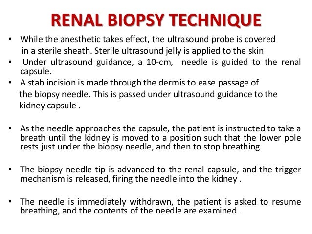 Renal Biopsy Renal Biopsy