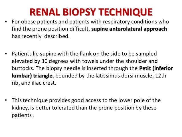 Renal Biopsy