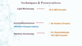 
10 % NB Formalin
 No fixation (Frozen)
 4% Gluteraldehyde
 10% NB Formalin
Light Microscopy
Immunofluorescence
(Michelle’s Transport medium)
Electron microscopy
Techniques & Preservatives:
 